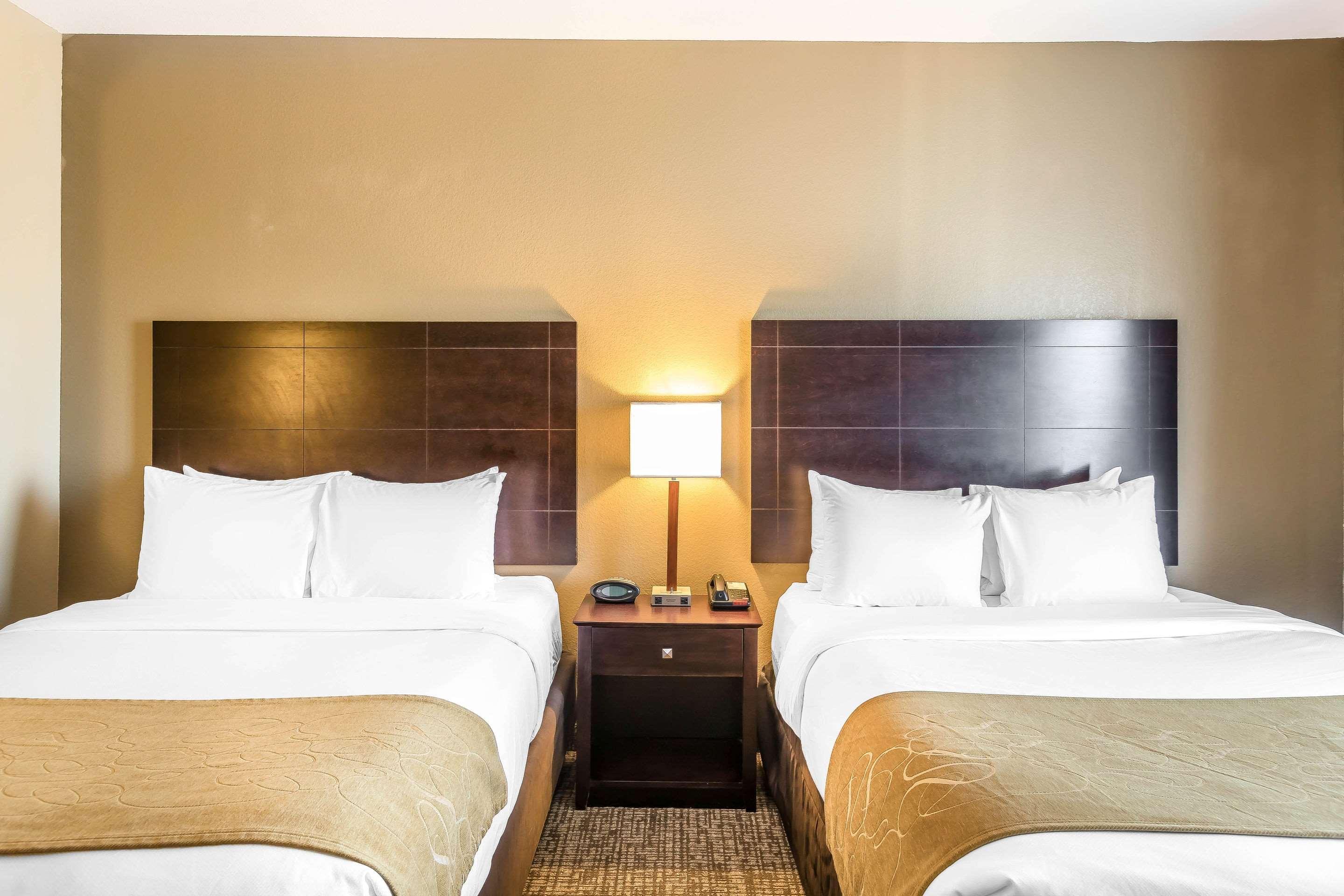 Comfort North 2*